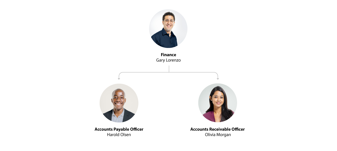 Organisational chart - Finance